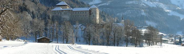 Winter landscape with a castle in the background